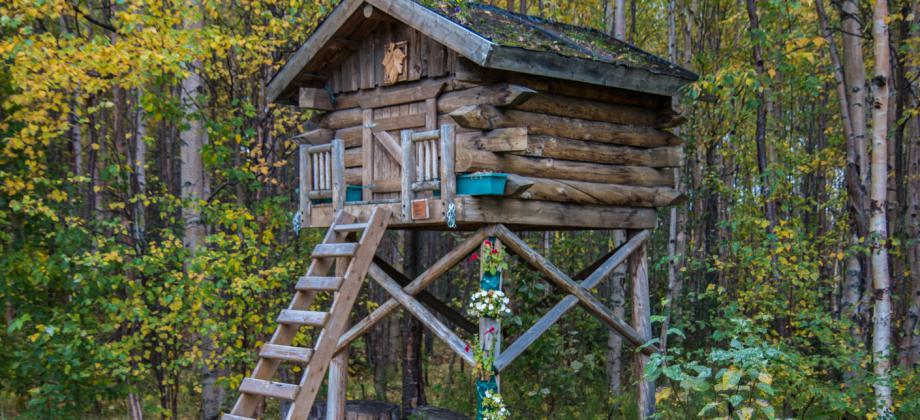 Alaska's Harvest Bed And Breakfast In Palmer, Alaska