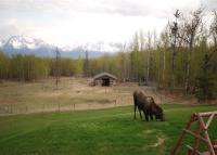 Alaska's Harvest Bed And Breakfast In Palmer, Alaska